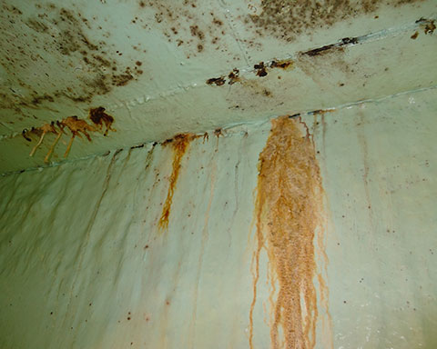 Rust-staining-from-the-reinforcing-bars-in-a-UK-tower-block-concrete-water-tanks